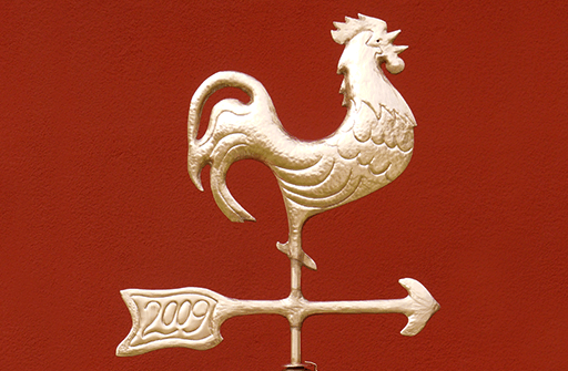 Kohout